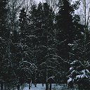 ���� Xacco, ������, 54 ���� - ��������� 19 ����� 2021 � ������ �@photoxacco�