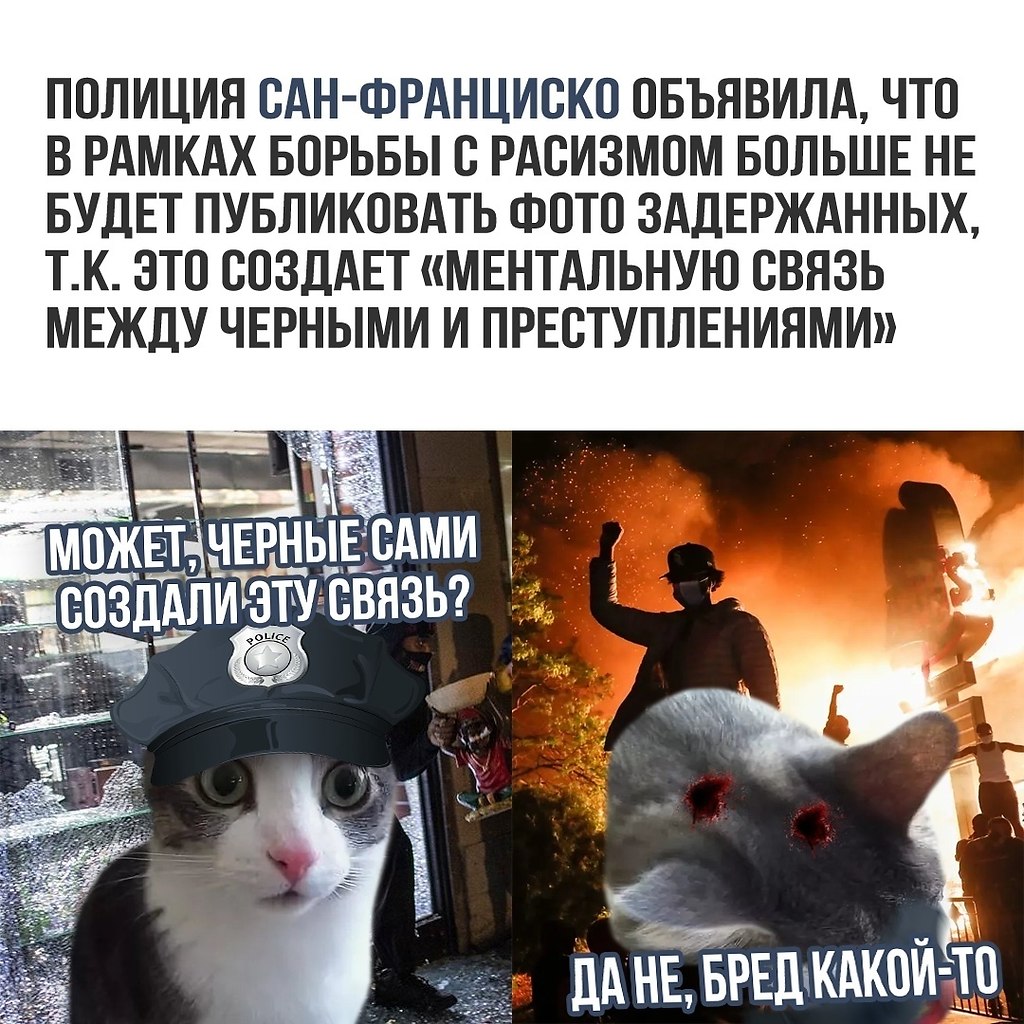   - 11  2020  18:57