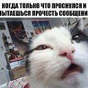 ���� �������, ������, 49 ��� - ��������� 18 �������� 2020 � ������ ������ ��������