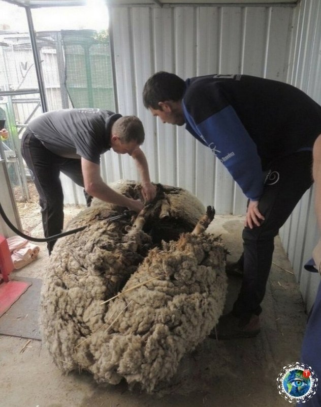 o o e, ec e cp o ecoo e. a aa oepac  cpa  ae o e ... - 4