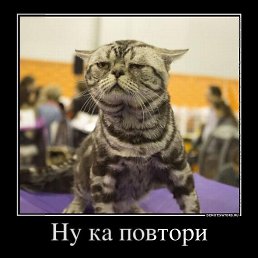 ���� ����, �������, 40 ��� - ��������� 27 ������� 2020