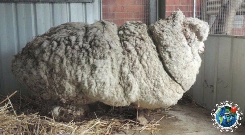 o o e, ec e cp o ecoo e. a aa oepac  cpa  ae o e ... - 3