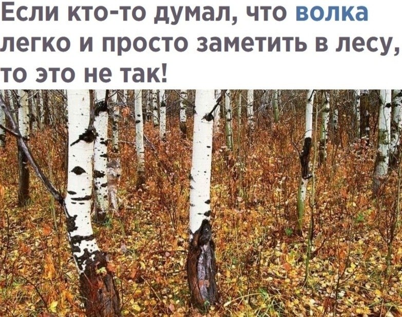 LIFE -  - 15  2020  20:12