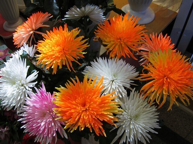   ,    . - 30  2020  22:16