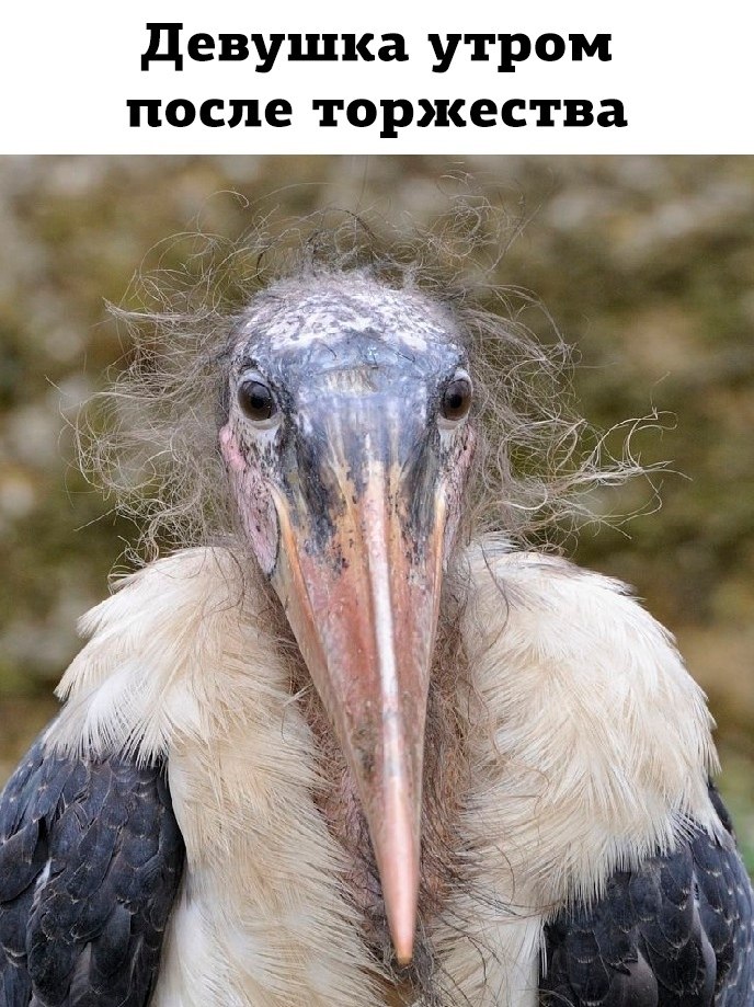     - 2