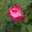 ���� Denis, �������� - ��������� 6 ������ 2020 � ������ ������ - ���� ))�