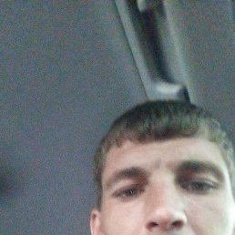 �������, 33 ����, ���������