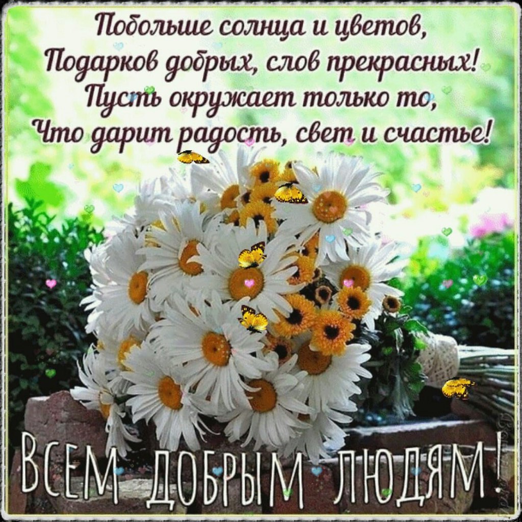 ПРИВЕТСТВИЯ и ПОЖЕЛАНИЯ, открытки на каждый день. опубликовал пост от 24  августа 2020 в 14:35 | Фотострана | Пост №2206597988