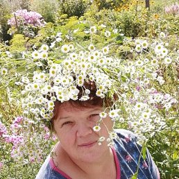 ������, ������, 55 ���