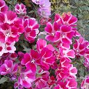  ,  -  23  2020    