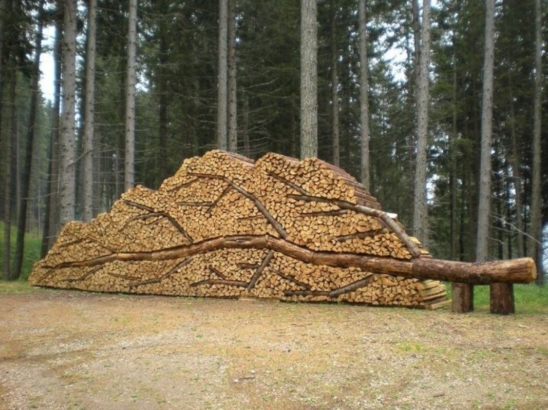 Xpau nupua  npouu yca