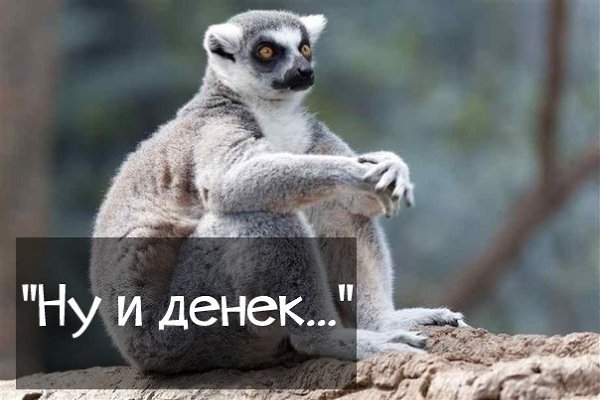   - 3  2021  00:12