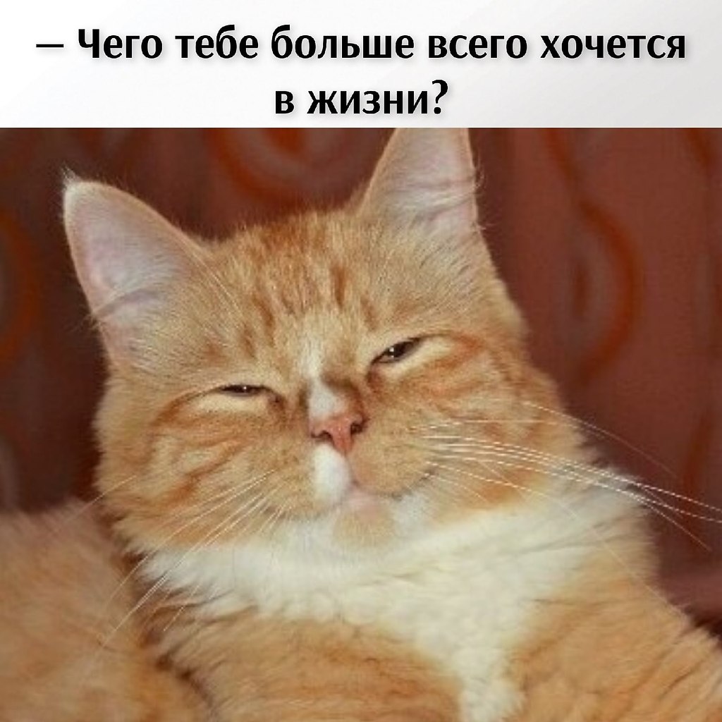       - 25  2021  19:34