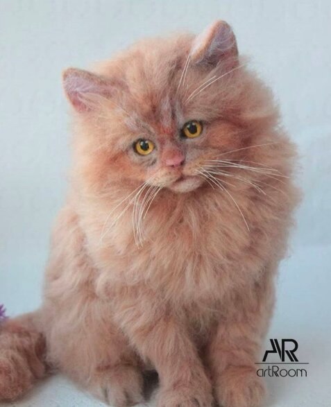 , ,  - 8  2020  18:57