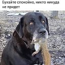 ���� ���������� ������, �������-���������, 58 ��� - ��������� 17 ������� 2021 � ������ ������ ��������