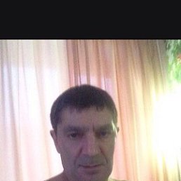 ,  , 61 