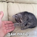 ���� ������, ������� ��������, 57 ��� - ��������� 25 ������� 2020