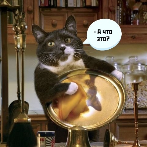 ��� ���� � ����� �� �� - 6 ������ 2021 � 12:09 - 2