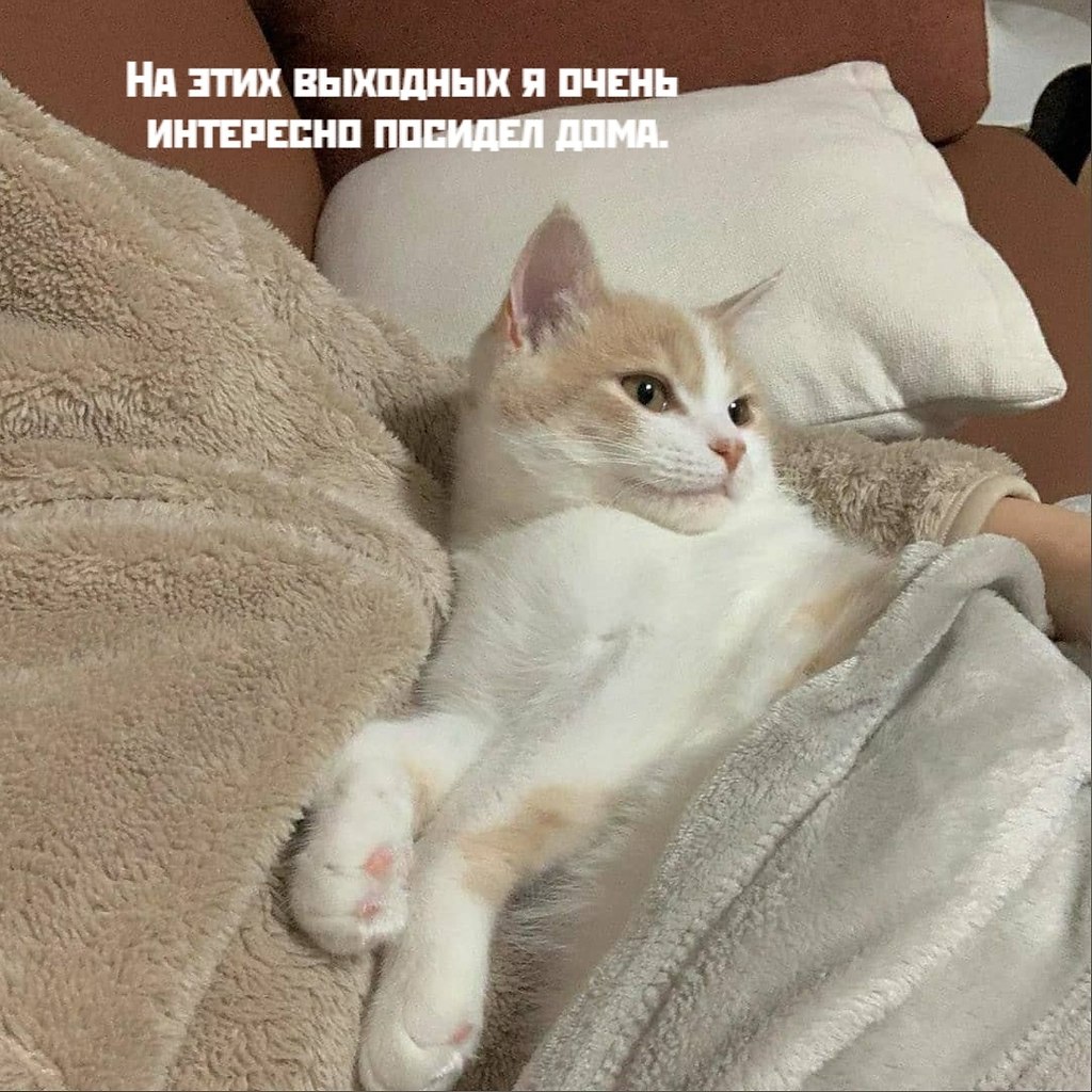       - 9  2021  21:37