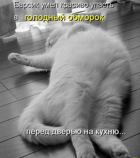    - 17  2020  13:15