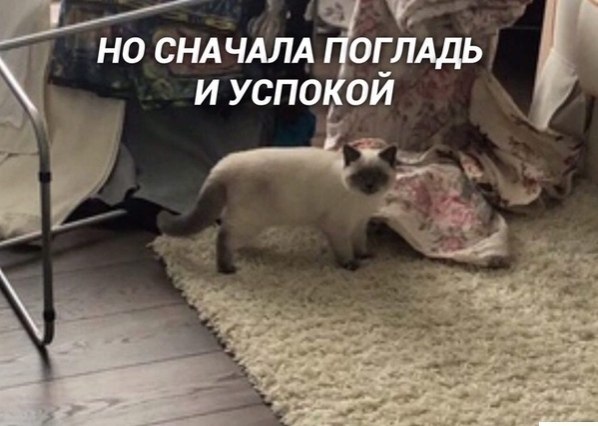   ,     ) - 2