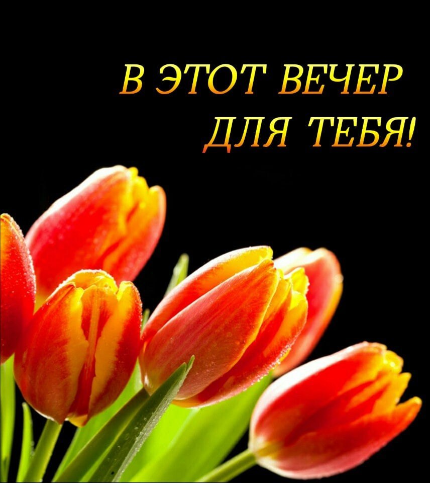   ,    . - 8  2021  18:36