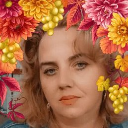 ����, ������, 50 ���