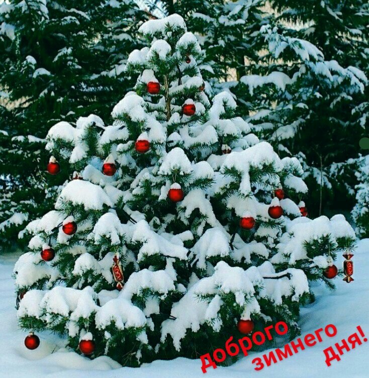  ,    . - 17  2021  11:35