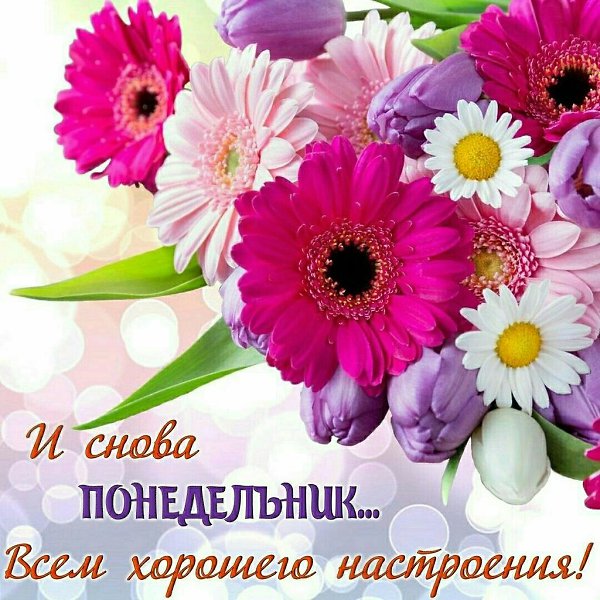   ,    . - 22  2021  00:07 - 4