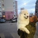  Alexandr,  -  24  2021
