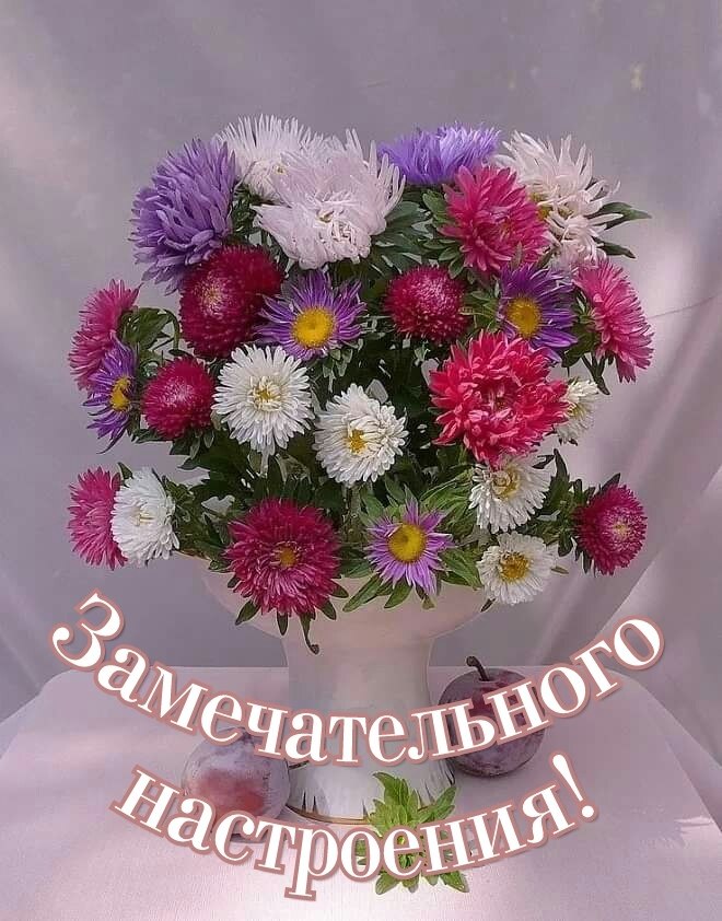   ,    . - 24  2020  14:35 - 3