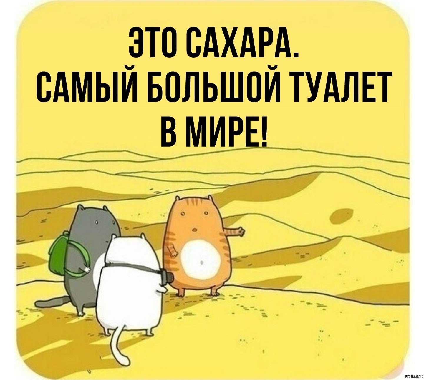   - 4  2020  14:04 - 2