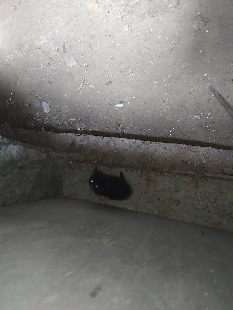 #_.  .      .     ...