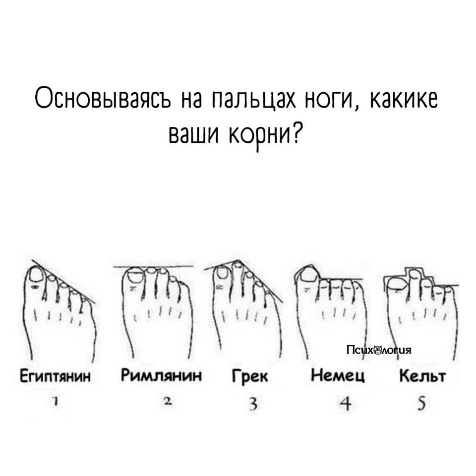 Название пальцев на ноге у человека фото с названиями