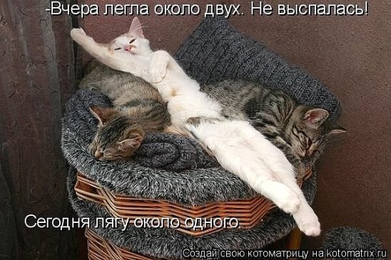 ,   ! ,  ,    !)))