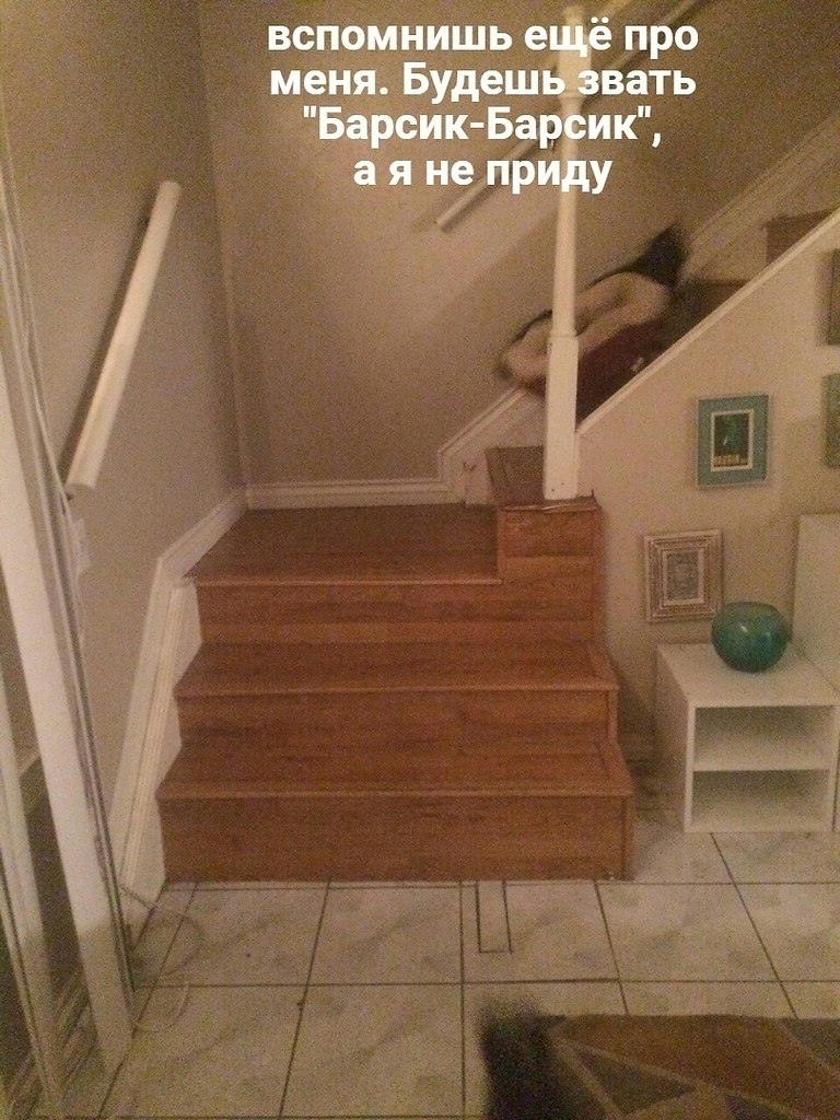   ,          . - 3