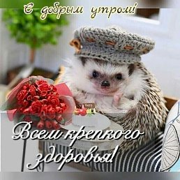 , , 58 