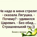 ���� ��������, �����-���������, 48 ��� - ��������� 8 �������� 2020 � ������ ���� ����������
