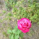 ���� Denis, �������� - ��������� 6 ������ 2020 � ������ ������ - ���� ))�