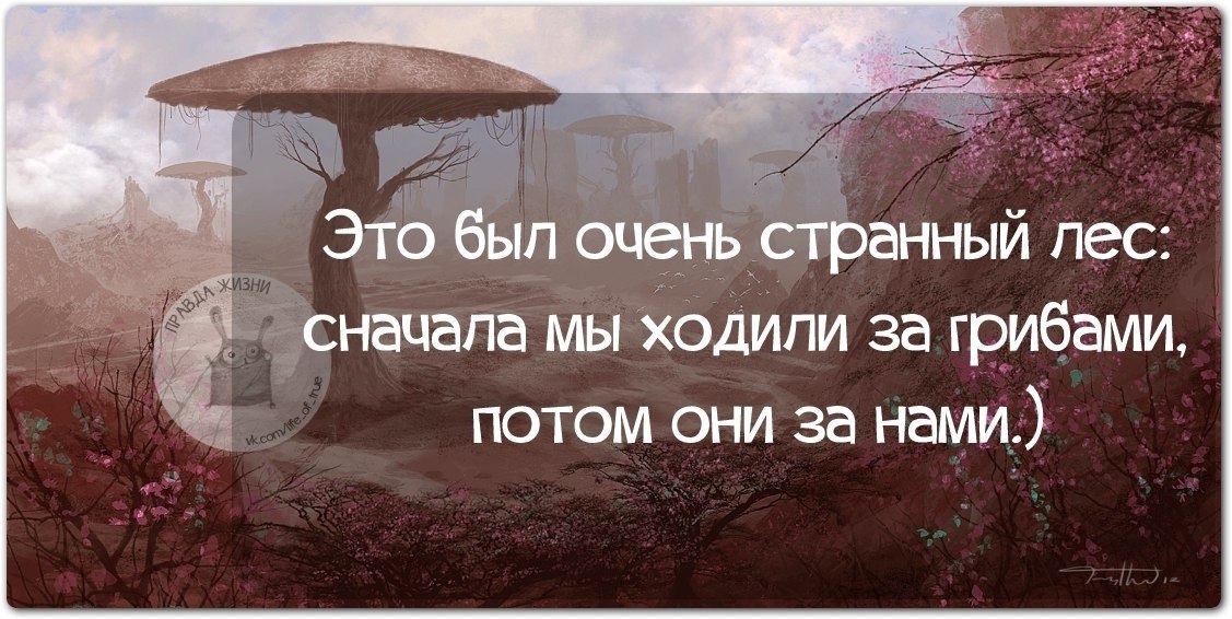 ������ ����� - 6 ������ 2021 � 16:48