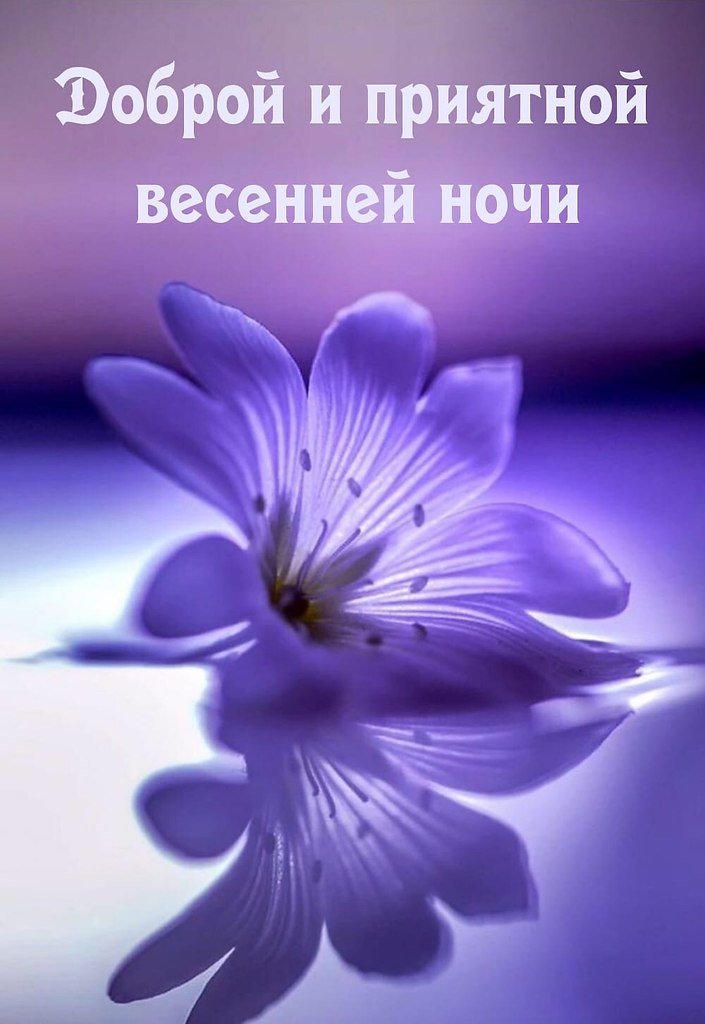   ,    . - 9  2021  23:35