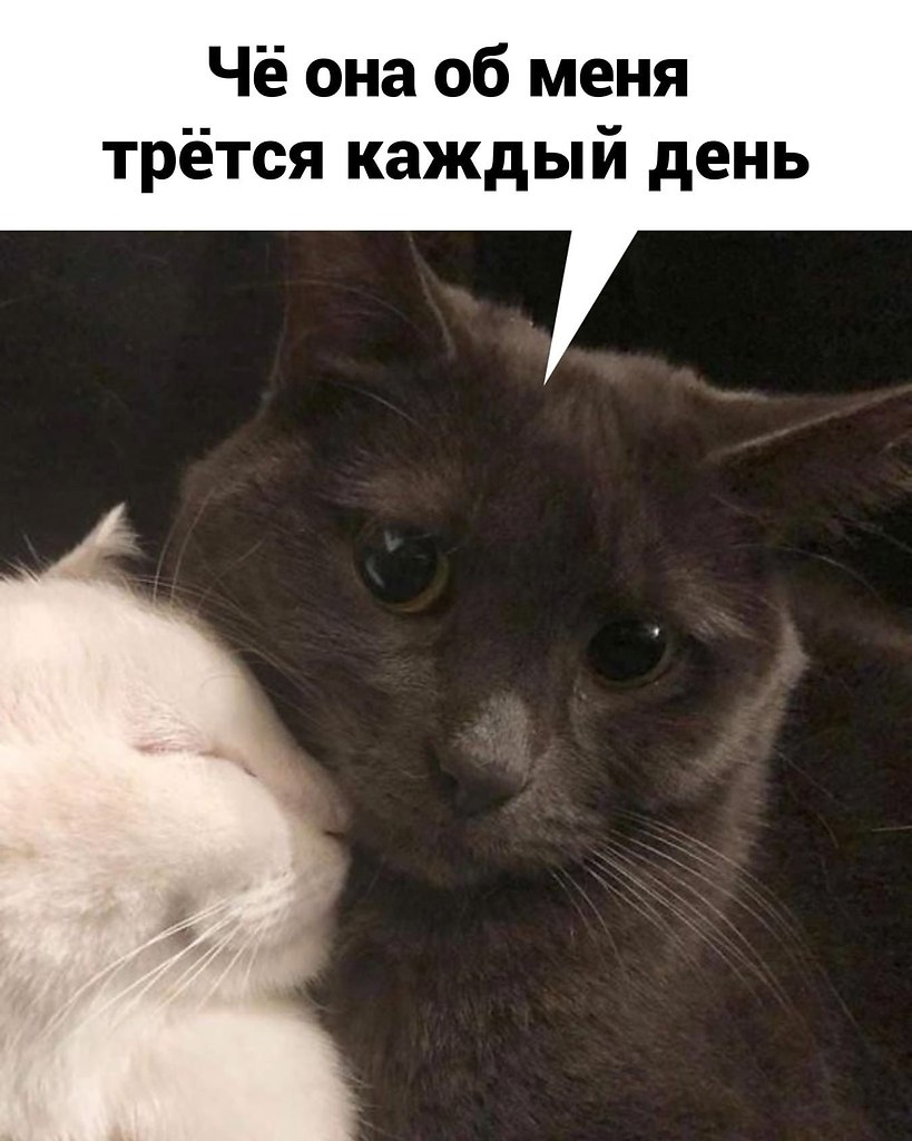      . - 3