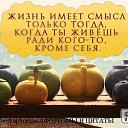 ���� ������, ������������ - ��������� 4 ���� 2021 � ������ �*������ � �����*, ��������, �����, ���������, ��������. � ����