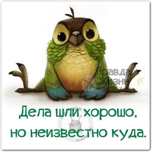 ������ ����� - 29 ����� 2021 � 19:22
