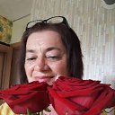 ���� �������, ������������ - ��������� 26 ������� 2021 � ������ ���� ����������