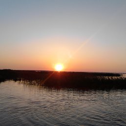 ���, ������, 28 ���