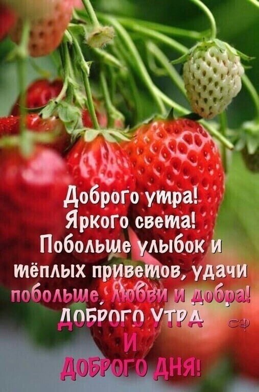   ,    . - 8  2021  23:22