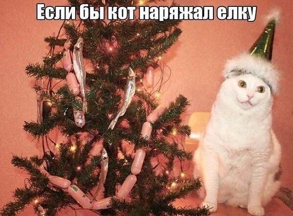    - 3  2021  16:33