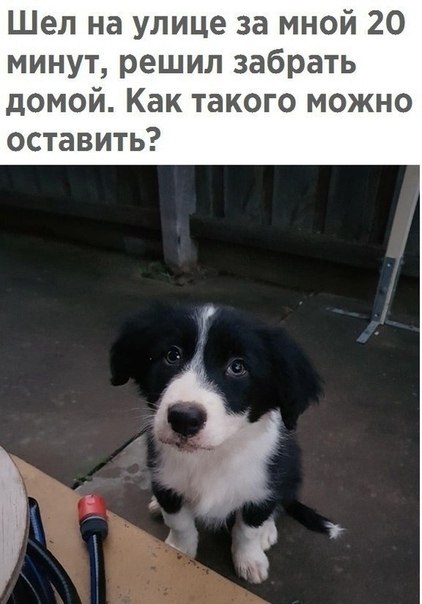       .      ...