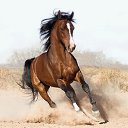 ���� �����, ������, 66 ��� - ��������� 14 ������� 2021 � ������ ������ ��������